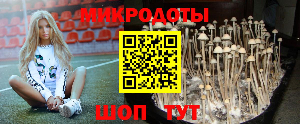 Галлюциногенные грибы мицелий Гурьевск