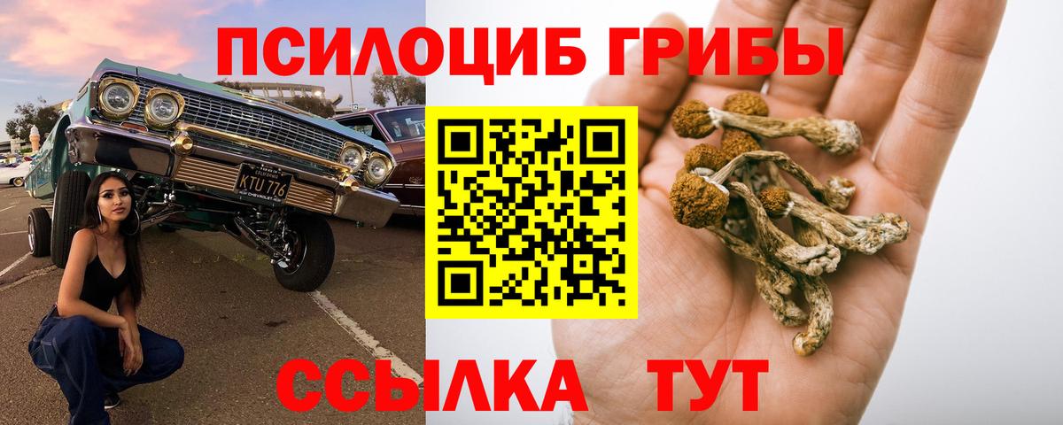 Гурьевск  Галлюциногенные грибы GOLDEN TEACHER  Вход с VPN 